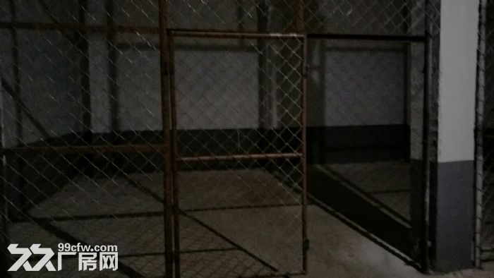 自用冷库出租，可分租、整租-图4