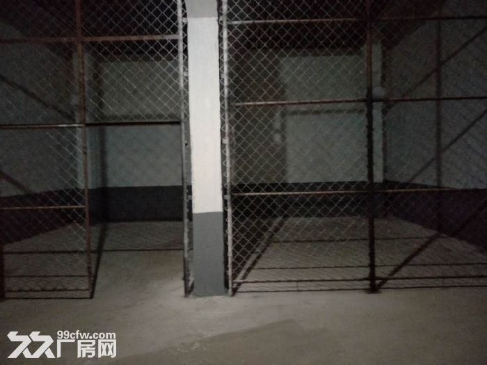 自用冷库出租，可分租、整租-图5