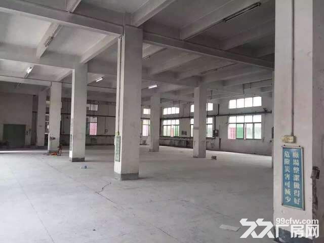 泰安标准化车间厂房出租 价格美丽-图3