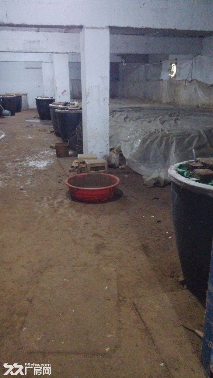 新《水浒》拍摄地 食品厂房招租 交通便利 价格优惠-图8